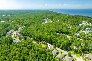 217 Cox Rd, Santa Rosa Beach, FL 32459 - Photo 43