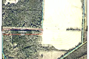 3915 3rd Ave, Laurel Hill, FL 32567 - Photo 1