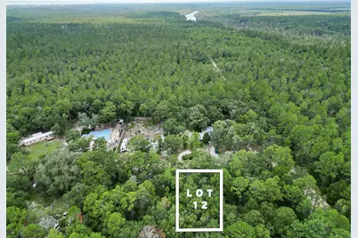 Tbd Whip Poor Will Lane, Freeport, FL 32439 - Photo 3