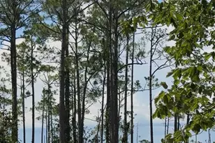 Lot 8 19th St, Santa Rosa Beach, FL 32459 - Photo 1