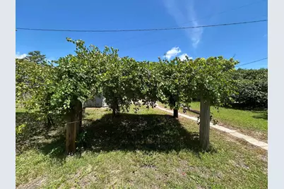 245 S Tram Road, Ponce de Leon, FL 32455 - Photo 3