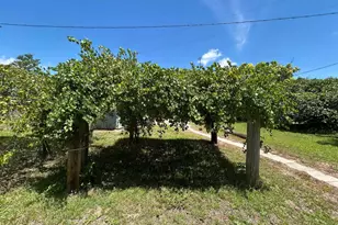 245 S Tram Rd, Ponce de Leon, FL 32455 - Photo 3
