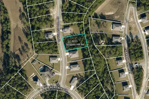 6611 Spyglass Hill Rd, Laurel Hill, FL 32567 - Photo 1