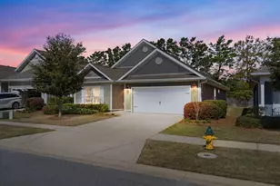 371 Lightning Bug Ln, Freeport, FL 32439 - Photo 1