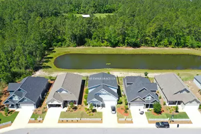 65 Emma Grace Lane, Santa Rosa Beach, FL 32459 - Photo 3