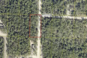 1 25 Acres N Sally Jean Rd, Defuniak Springs, FL 32433 - Photo 1