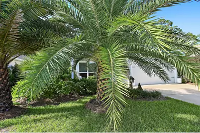 239 Southern Pines Road, Santa Rosa Beach, FL 32459 - Photo 29