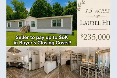 3984 1st Avenue, Laurel Hill, FL 32567 - Photo 1