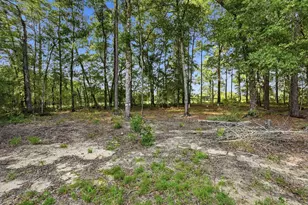 163 Tim Boland Rd, Defuniak Springs, FL 32435 - Photo 45