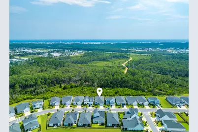 227 Suwannee Drive, Inlet Beach, FL 32461 - Photo 33