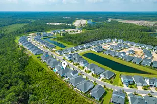 227 Suwannee Dr, Inlet Beach, FL 32461 - Photo 35