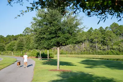 278 Pollard Cove East #Lot 122, Watersound, FL 32461 - Photo 47