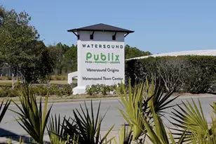278 Pollard Cv E, Watersound, FL 32461 - Photo 55