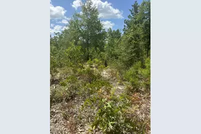 4 Daffodil Court, Mossy Head, FL 32434 - Photo 1