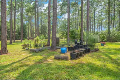 737 Hemphill Road, Defuniak Springs, FL 32435 - Photo 7
