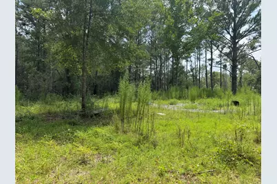 1015 Plantation Lane, Defuniak Springs, FL 32433 - Photo 5