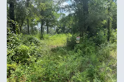 1015 Plantation Lane, Defuniak Springs, FL 32433 - Photo 3