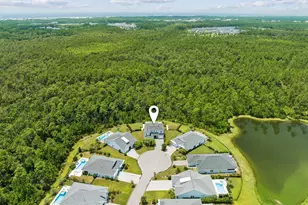 67 Tamoka Ct, Inlet Beach, FL 32461 - Photo 65