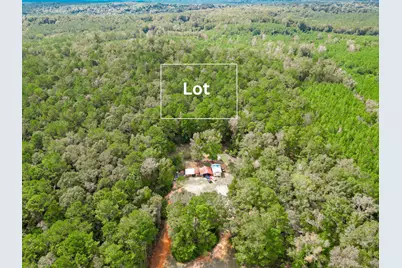 00 S Hwy 81, Ponce de Leon, FL 32455 - Photo 3