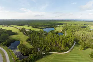 88 Porter Wy, Watersound, FL 32461 - Photo 13