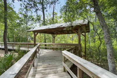 266 Sweet Tea Lane, Freeport, FL 32439 - Photo 81