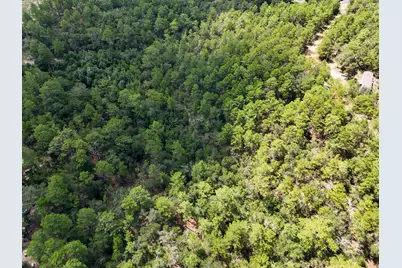 2.84 Acres White Road, Defuniak Springs, FL 32433 - Photo 5