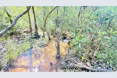 2.84 Acres White Road, Defuniak Springs, FL 32433 - Photo 3