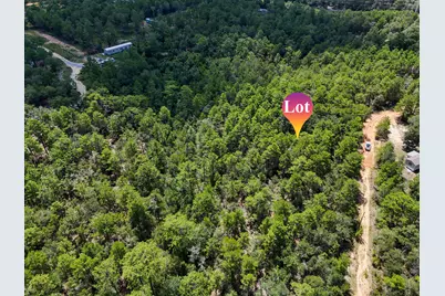 2.84 Acres White Road, Defuniak Springs, FL 32433 - Photo 7