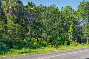 365 E Nursery Rd, Santa Rosa Beach, FL 32459 - Photo 5