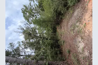 5266 Choctaw Road, Vernon, FL 32462 - Photo 19