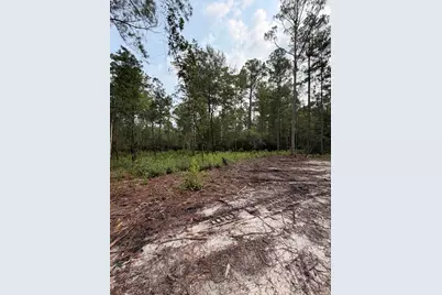 5266 Choctaw Road, Vernon, FL 32462 - Photo 5