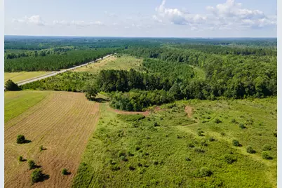 Lot 10 Campbell Road, Defuniak Springs, FL 32435 - Photo 3