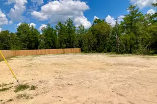 169 E Honeysuckle St, Defuniak Springs, FL 32433 - Photo 59