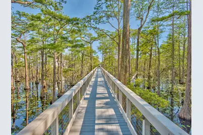 Lot 16 Cypress Drive, Santa Rosa Beach, FL 32459 - Photo 43