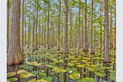 Lot 16 Cypress Drive, Santa Rosa Beach, FL 32459 - Photo 29