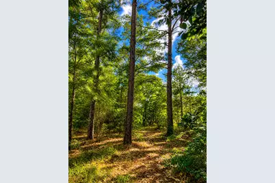 1581 Hwy C 180, Baker, FL 32531 - Photo 11