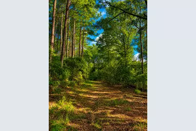 1581 Hwy C 180, Baker, FL 32531 - Photo 19