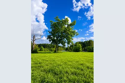 1581 Hwy C 180, Baker, FL 32531 - Photo 9