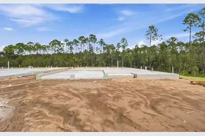 1084 Suwannee Drive #Lot 51, Watersound, FL 32461 - Photo 3