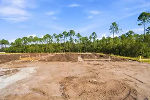 Tbd Suwannee Dr, Watersound, FL 32461 - Photo 3