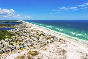 260 Magnolia St, Santa Rosa Beach, FL 32459 - Photo 73