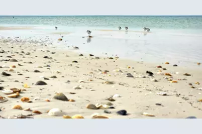 0 Us-98, Port Saint Joe, FL 32456 - Photo 19