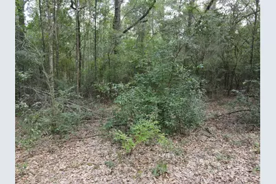 4.41 Ac Summertime Drive, Holt, FL 32564 - Photo 7