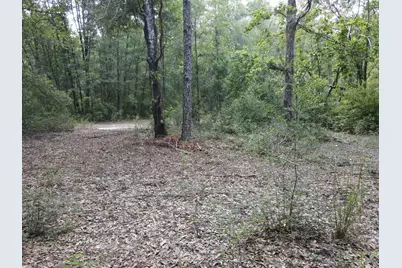 4.41 Ac Summertime Drive, Holt, FL 32564 - Photo 5