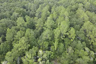 4 41 Ac Summertime Dr, Holt, FL 32564 - Photo 1