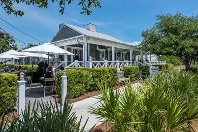 50 Seven Wells Court, Inlet Beach, FL 32461 - Photo 39