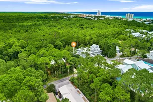 429 N Montigo Ave, Santa Rosa Beach, FL 32459 - Photo 47