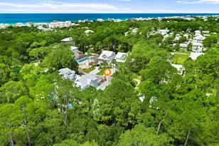 429 N Montigo Ave, Santa Rosa Beach, FL 32459 - Photo 45