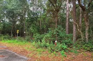 2 279 Ac NW Woodridge Dr, Milton, FL 32570 - Photo 1