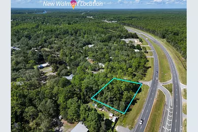 Lots 7-8 S US Highway 331, Freeport, FL 32439 - Photo 1